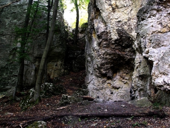 Zdjecie - Polska - Olsztyn k. Częstochowy