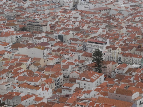 Zdjęcie z Portugalii - 