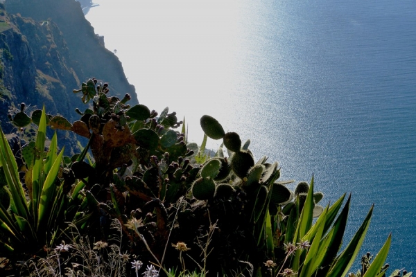 Zdjęcie z Portugalii - Cabo Girao