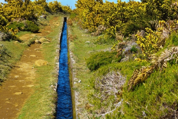 Zdjęcie z Portugalii - levada du Norte