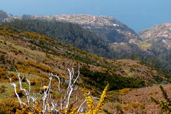 Zdjęcie z Portugalii - levada du Norte