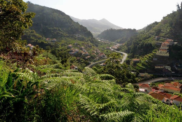 Zdjęcie z Portugalii - Marocos Valley