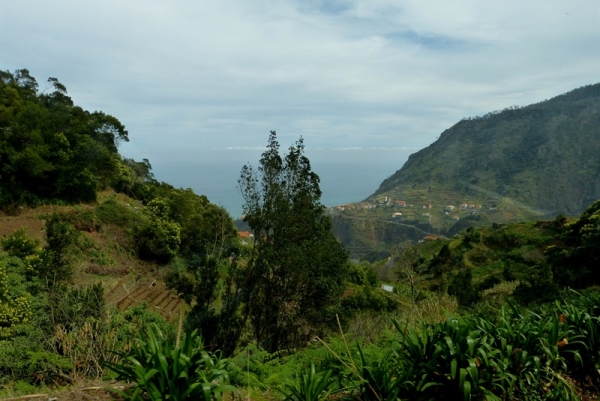 Zdjęcie z Portugalii - w dole -Faial