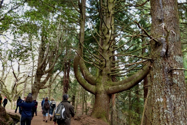 Zdjęcie z Portugalii - Caldeirao Verde