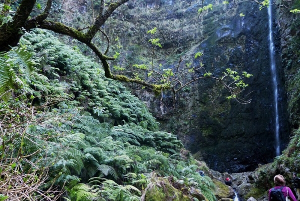 Zdjęcie z Portugalii - Caldeirao Verde