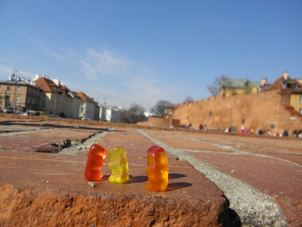 Zdjęcie z Polski - warszawskie Gu-misie ;o))