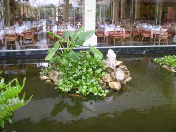 Zdjęcie z Meksyku - hotel