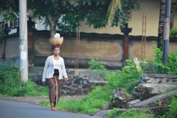 Zdjęcie z Indonezji - Balijka