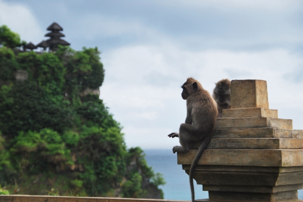 Zdjęcie z Indonezji - Pura Lahur Uluwatu