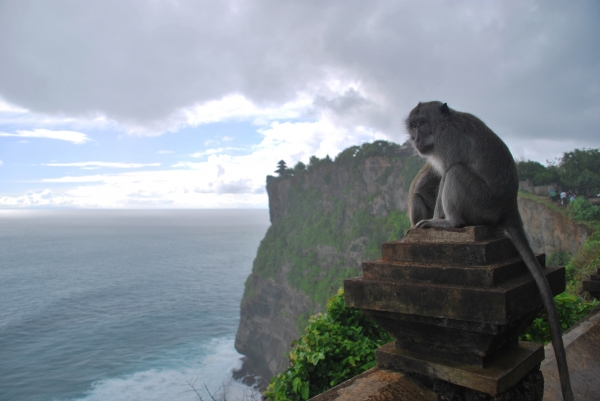 Zdjęcie z Indonezji - Pura Lahur Uluwatu