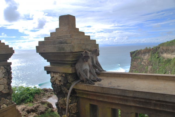 Zdjęcie z Indonezji - Uluwatu