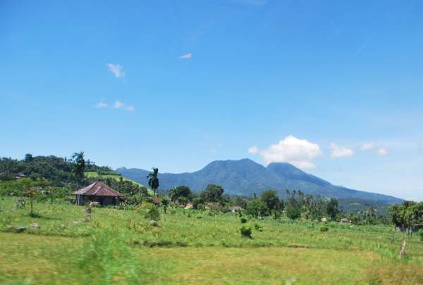 Zdjęcie z Indonezji - Balijskie klimaty