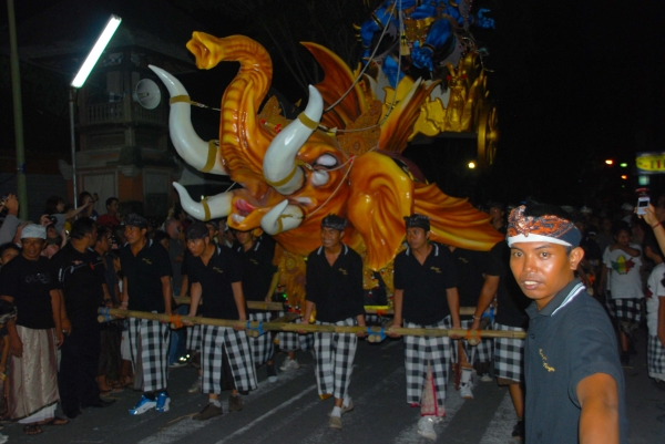 Zdjęcie z Indonezji - Ogo ogo zostaje 
