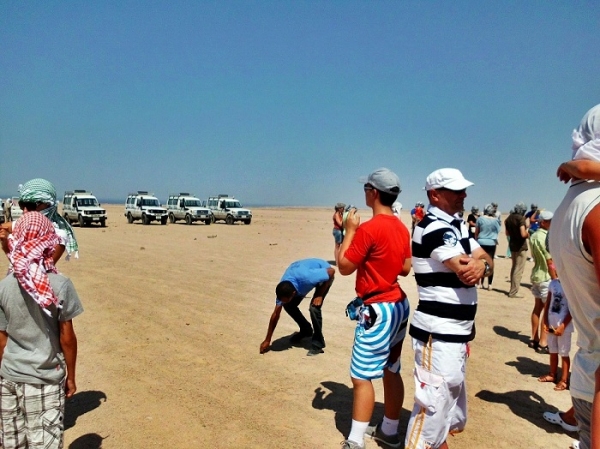 Zdjęcie z Egiptu - Safari na Saharze
