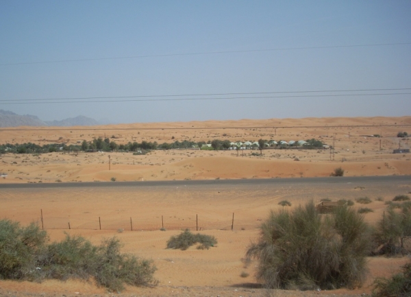 Zdjęcie z Zjednoczonych Emiratów Arabskich - 