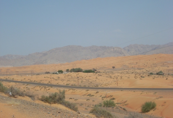Zdjęcie z Zjednoczonych Emiratów Arabskich - 