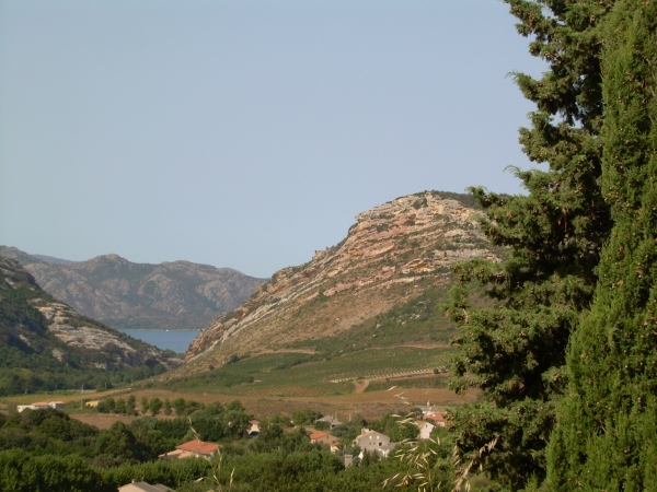 Zdjęcie z Francji - droga do St Florent