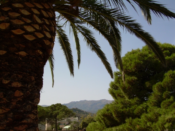 Zdjęcie z Francji - St Florent