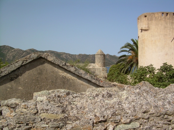 Zdjęcie z Francji - St Florent