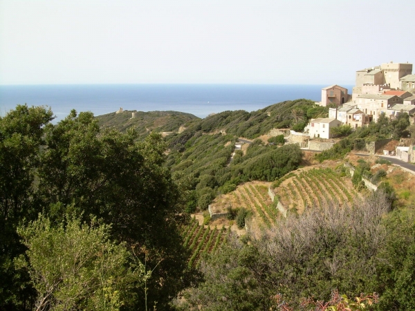 Zdjęcie z Francji - zach.wybrzeże Cap Corse