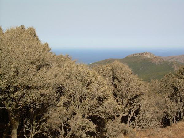 Zdjęcie z Francji - Cap Corse