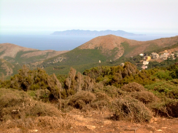 Zdjęcie z Francji - Cap Corse