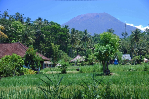 Zdjęcie z Indonezji - Balijskie widoki