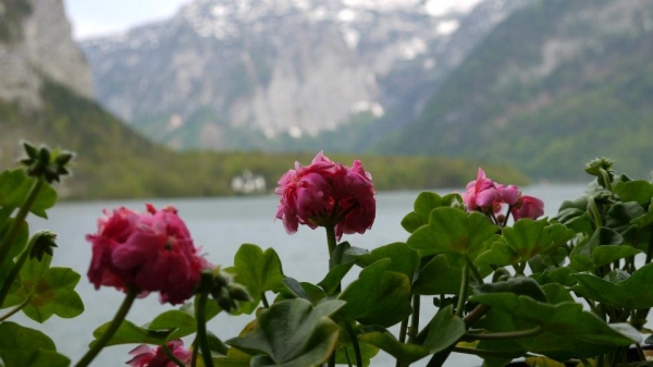 Zdjęcie z Austrii - Hallstatt