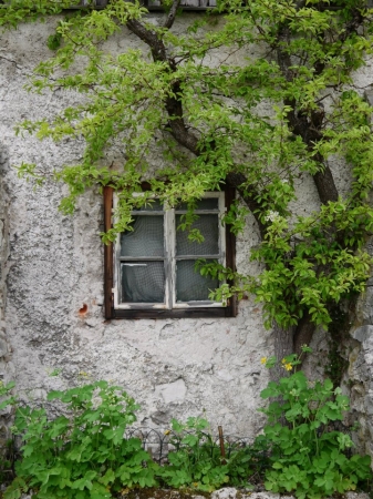 Zdjęcie z Austrii - Hallstatt