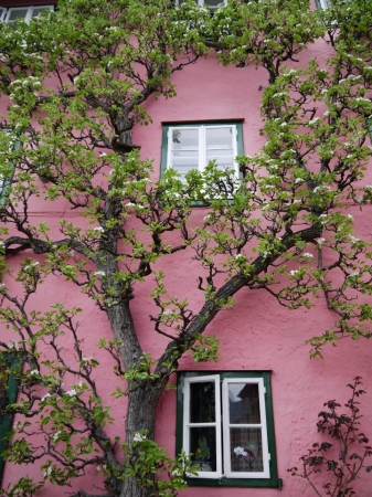 Zdjęcie z Austrii - Hallstatt