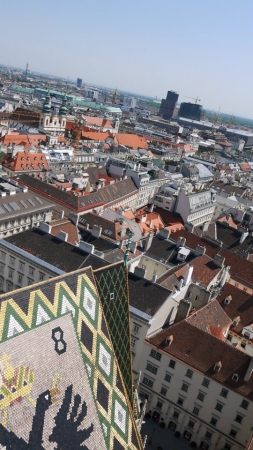 Zdjęcie z Austrii - Wiedeń