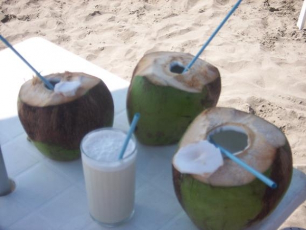 Zdjęcie z Meksyku - COCOS