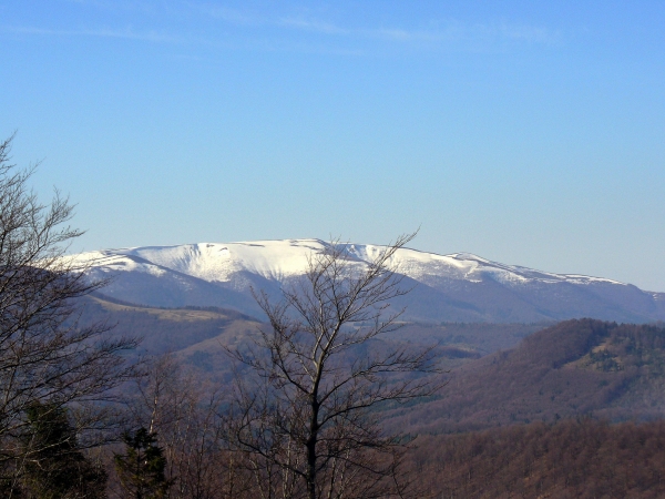 Zdjecie - Ukraina - Bieszczady - Pikuj