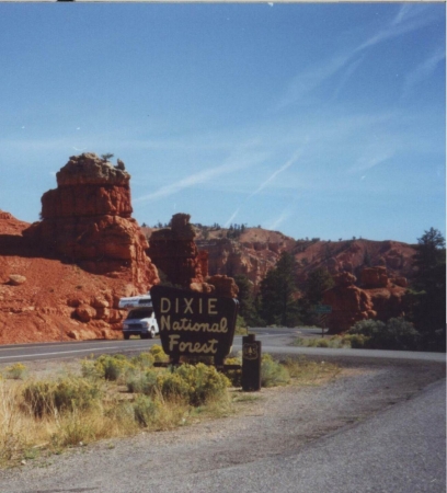 Zdjęcie ze Stanów Zjednoczonych - Dixie National Forest