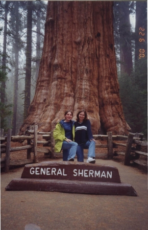 Zdjęcie ze Stanów Zjednoczonych - Park Narodowy Sequoia