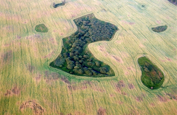 Zdjęcie z Polski - 