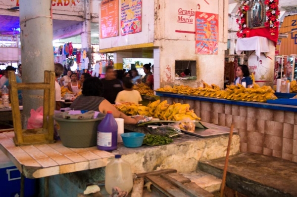 Zdjęcie z Meksyku - 