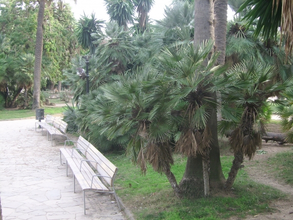 Zdjęcie z Hiszpanii - Parc de la Ciutadella