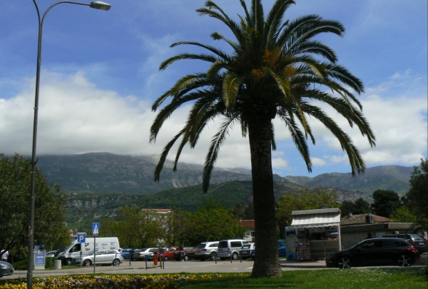 Zdjęcie z Czarnogóry - Budva