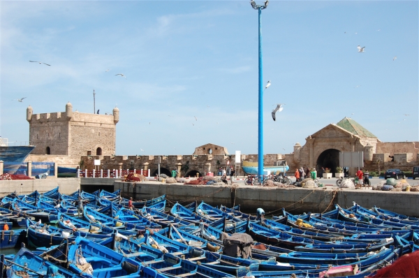 Zdjęcie z Maroka - Essaouira