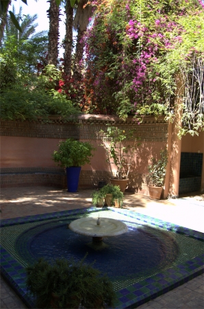 Zdjęcie z Maroka - Jardin Majorelle