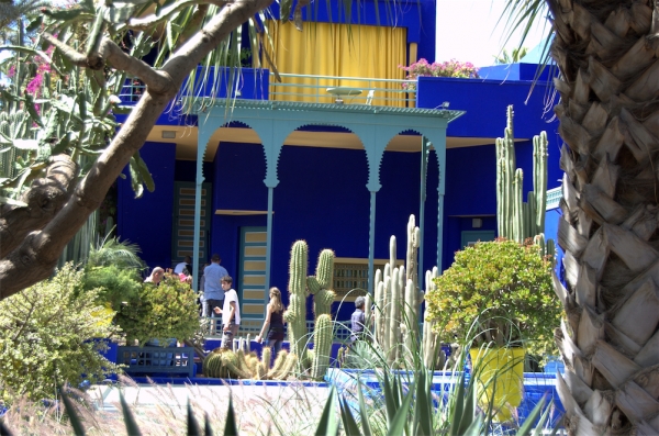 Zdjęcie z Maroka - Jardin Majorelle