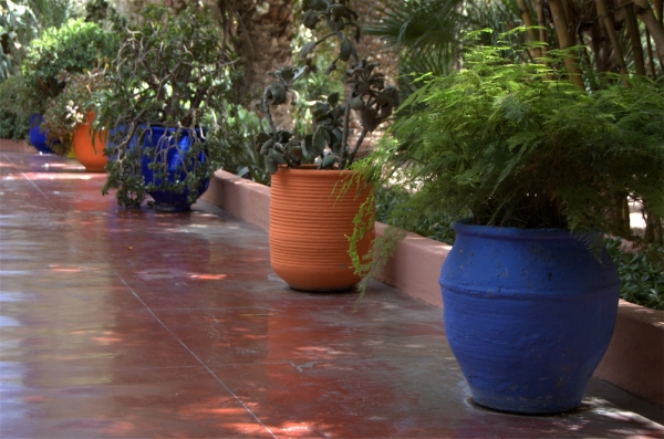 Zdjęcie z Maroka - Jardin Majorelle