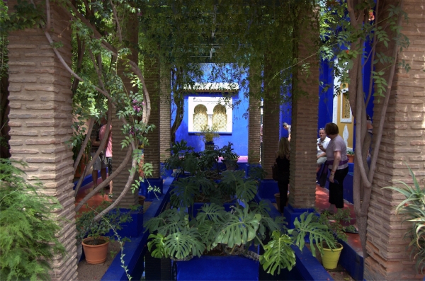 Zdjęcie z Maroka - Jardin Majorelle