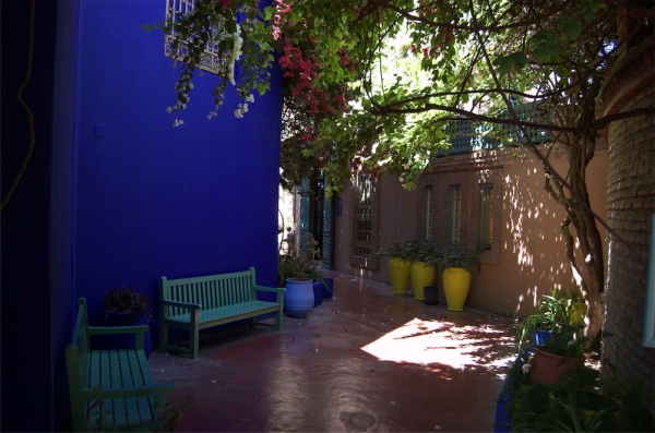 Zdjęcie z Maroka - Jardin Majorelle