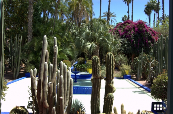 Zdjęcie z Maroka - Jardin Majorelle