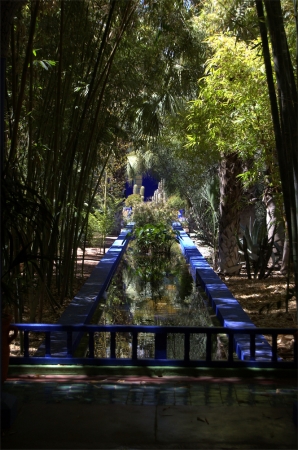 Zdjęcie z Maroka - Jardin Majorelle