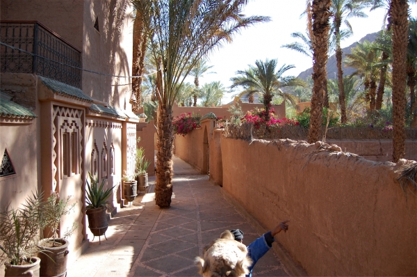 Zdjęcie z Maroka - Zagora