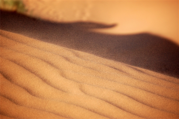 Zdjęcie z Maroka - Sahara