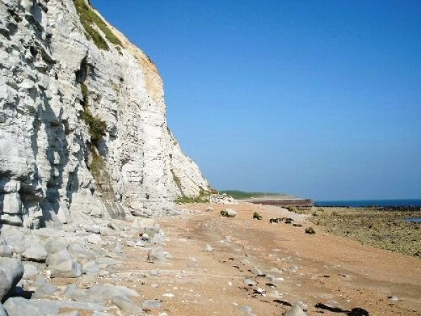 Zdjęcie z Wielkiej Brytanii - Samphire Hoe